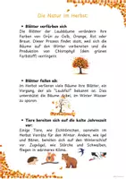 Vorschau - Arbeitsblätter - Herbst 🍂 Sachunterricht - Seite 2