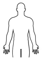 anteprima - Materiale di supporto/inclusione - Modello corpo umano- - Pagina 2