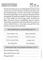 Vorschau - Anderer Materialtyp - Eule Leseverständnis (doppelseitige Kopiervorlage) - Seite 1
