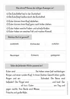 Vorschau - Anderer Materialtyp - Eule Leseverständnis (doppelseitige Kopiervorlage) - Seite 2