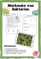 Vorschau - Stundenentwürfe - Merkmale von Bakterien - Deckblatt