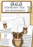Vorschau - Anderer Materialtyp - Eule - Differenzierte Tafel-, Abschreib- und Ansagetexte - Deckblatt