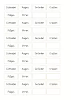 Vorschau - Anderer Materialtyp - Eule - Teile einer Eule (Klett- und Klebematerial) - Seite 2