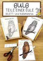 Vorschau - Anderer Materialtyp - Eule - Teile einer Eule (Klett- und Klebematerial) - Deckblatt