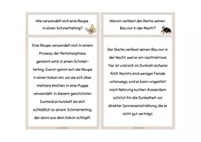 Vorschau - Stationenlernen - Lesekartei & Fragen heimische Tiere - Seite 3