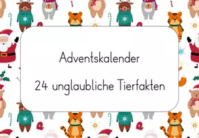 Vorschau - Mal- und Bastelvorlagen - Materialpaket: Adventskalender - Seite 2