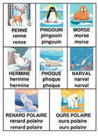 Aperçu - Préparation de séquence / Séquence complète - LES ANIMAUX POLAIRES - Page de couverture