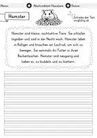 Vorschau - Arbeitsblätter - Abschreibtexte - Haustiere | Abschreibübungen | Deutsch 1. Klasse | Grundschrift - Seite 3