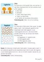 Vorschau - Stundenentwürfe - Mathe im Kindergarten (Herbst / Eichhörnchen) - Seite 3