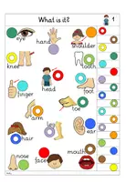 Vorschau - Spiele - Übungskarten und interaktive Übungen zum Thema "Body" - Seite 2