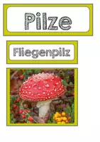 Vorschau - Fördermaterial/Inklusion - Pilze.Tafel- und Legematerial - Seite 1