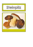 Vorschau - Fördermaterial/Inklusion - Pilze.Tafel- und Legematerial - Seite 2