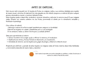 Vista previa - Tarjetas / Manipulativos - 16 TARJETAS IMÁGENES REALES LAS FRUTAS - página 3