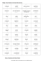 Vorschau - Spiele - Mingle false friends advanced (English-German, German-English) - Seite 2