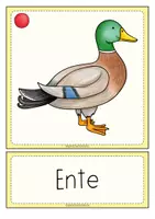 Vorschau - Fördermaterial/Inklusion - BAUERNHOF (Tiere) Wort- und Bildkarten - Seite 3