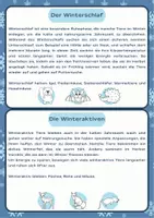 Vorschau - Arbeitsblätter - Tiere im Winter Sachunterricht Klasse 2/4 - Seite 1