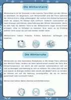 Vorschau - Arbeitsblätter - Tiere im Winter Sachunterricht Klasse 2/4 - Seite 2