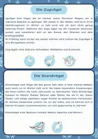 Vorschau - Arbeitsblätter - Tiere im Winter Sachunterricht Klasse 2/4 - Seite 3