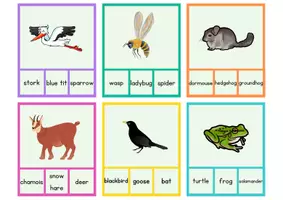 Vorschau - Spiele - Animals in Winter - Klammerkarten - Seite 1