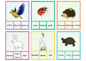 Vorschau - Spiele - Animals in Winter - Klammerkarten - Seite 2