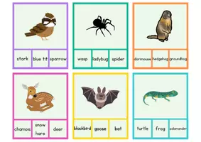 Vorschau - Spiele - Animals in Winter - Klammerkarten - Seite 3