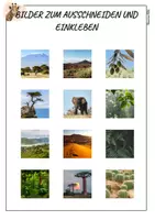 Vorschau - Arbeitsblätter - Afrika - Vegetationszonen | Arbeitsblatt | Erdkunde | GPG - Seite 3