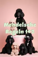 Vorschau - Arbeitsblätter - Mendelsche Regeln 1 und 2 - Deckblatt