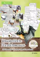 Vorschau - Stundenentwürfe - Fledermaus: Stationenarbeit zum Säugetier Fledermaus / Flughund - Deckblatt