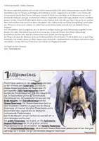 Vorschau - Stundenentwürfe - Fledermaus: Stationenarbeit zum Säugetier Fledermaus / Flughund - Seite 1