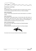 Vorschau - Unterrichtsreihen - Wale: Arten, Unterschied zum Fisch, Nahrung und mehr - Seite 2