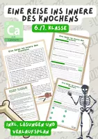 Vorschau - Arbeitsblätter - Eine Reise ins Innere des Knochens | Unterrichtsreihe "Der Mensch" | Biologie, 6./7. Klasse - Deckblatt