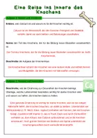 Vorschau - Arbeitsblätter - Eine Reise ins Innere des Knochens | Unterrichtsreihe "Der Mensch" | Biologie, 6./7. Klasse - Seite 1