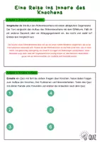 Vorschau - Arbeitsblätter - Eine Reise ins Innere des Knochens | Unterrichtsreihe "Der Mensch" | Biologie, 6./7. Klasse - Seite 2