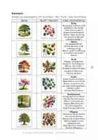 Vorschau - Arbeitsblätter - Baumquiz - Bilderrätsel mit 6 Baumarten - Seite 1