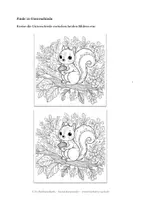 Vorschau - Arbeitsblätter - Bilder mit Unterschieden - 2 Eichhörnchen, 10 Unterschiede - Seite 1