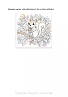 Vorschau - Arbeitsblätter - Bilder mit Unterschieden - 2 Eichhörnchen, 10 Unterschiede - Seite 2