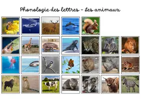 Aperçu - Apprentissages en autonomie - Phonologie des lettres - Les animaux - Page de couverture