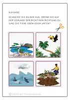 Vorschau - Arbeitsblätter - Oben oder unten? Finde die richtige Position - Seite 2
