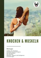 Vorschau - Stundenentwürfe - Materialpaket "Knochen & Muskeln" - VOLLSTÄNDIG - Seite 1