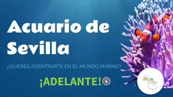 Vista previa - Juegos / Gamificación - Acuario de Sevilla: Un Viaje Marítimo con Magallanes - Portada