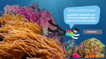 Vista previa - Juegos / Gamificación - Acuario de Sevilla: Un Viaje Marítimo con Magallanes - página 1
