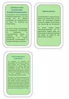 Vorschau - Arbeitsblätter - Rollenkarten Chancen und Risiken der Globalisierung - Seite 2