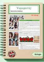 Vorschau - Arbeitsblätter - Variabilität & natürliche sowie künstliche Selektion - Deckblatt