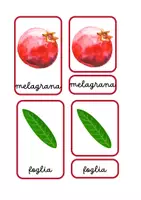 anteprima - Materiale di supporto/inclusione - Pack con 5 nomenclature Montessori per l'autunno- - Pagina 2