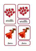 anteprima - Materiale di supporto/inclusione - Pack con 5 nomenclature Montessori per l'autunno- - Pagina 3