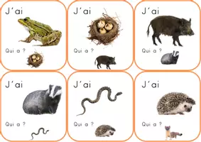 Aperçu - Jeux - Jeu de langage : j'ai .. qui a ... ? - Page 3