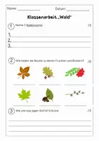 Vorschau - Test - Klassenarbeit/Lernstandserhebung "Wald" - Klasse 3/4 - Seite 1