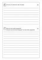 Vorschau - Test - Klassenarbeit/Lernstandserhebung "Wald" - Klasse 3/4 - Seite 3
