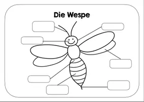 Vorschau - Arbeitsblätter - Wespe Lernplakat - Arbeitsblatt - Deckblatt
