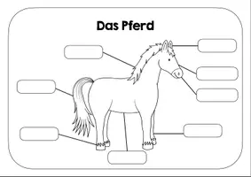 Vorschau - Arbeitsblätter - Pferd Lernplakat - Arbeitsblatt - Deckblatt